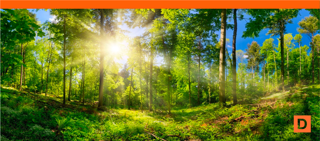 la-nature-digicom